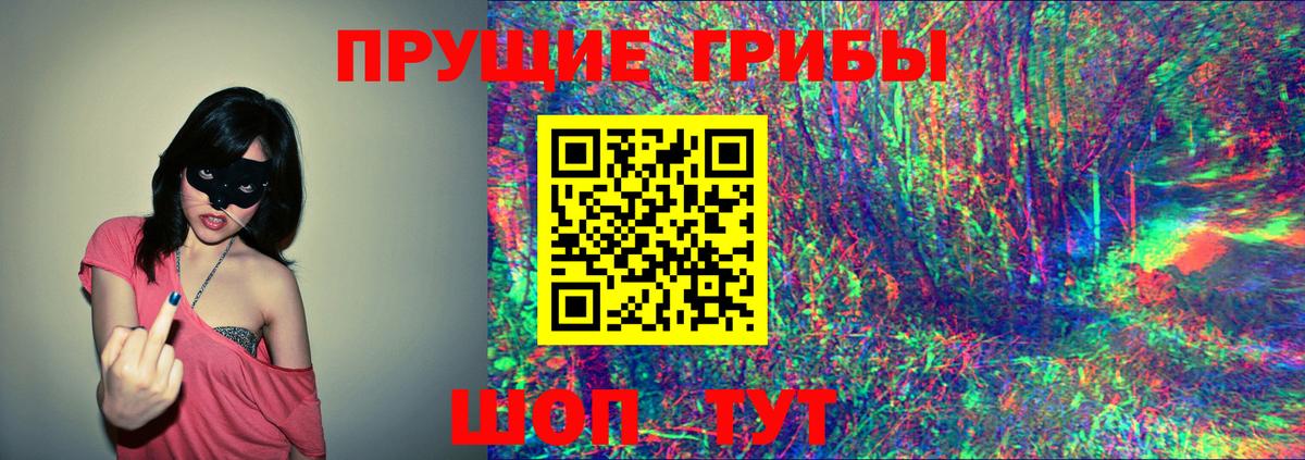 Волжск  магазин  наркотиков  Вход с VPN  Псилоцибиновые грибы ЛСД 